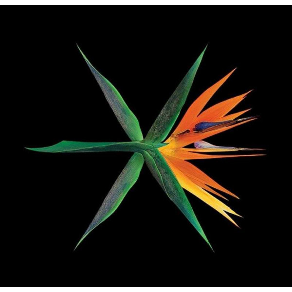 K-POP EXO 4th Album [THE WAR] Chinese Ver CD+Photobook+Photocard Sealed [Random]